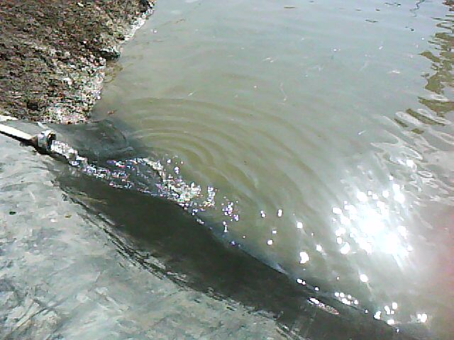 DSC00051.jpg