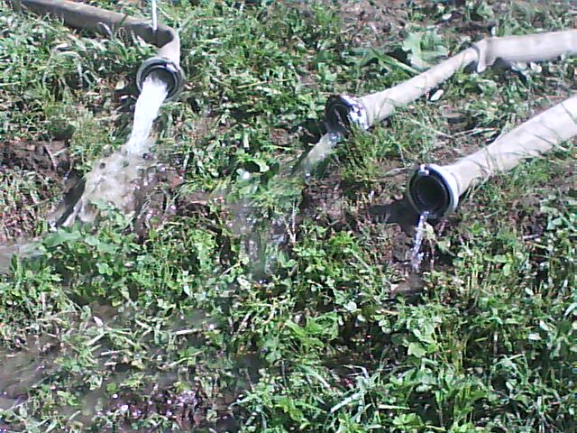 DSC00052.jpg