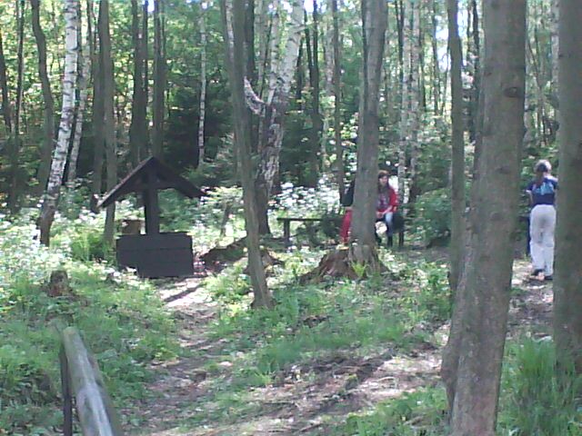 DSC00060.jpg