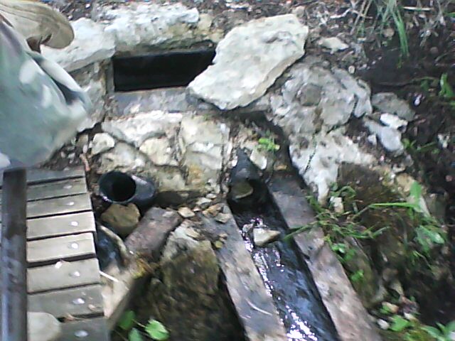 DSC00070.jpg
